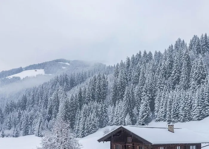 Schwuewong - 22 *